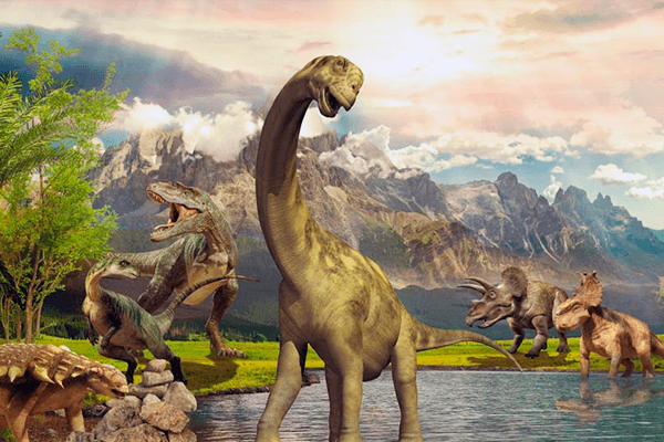 Fødselsdag Dino